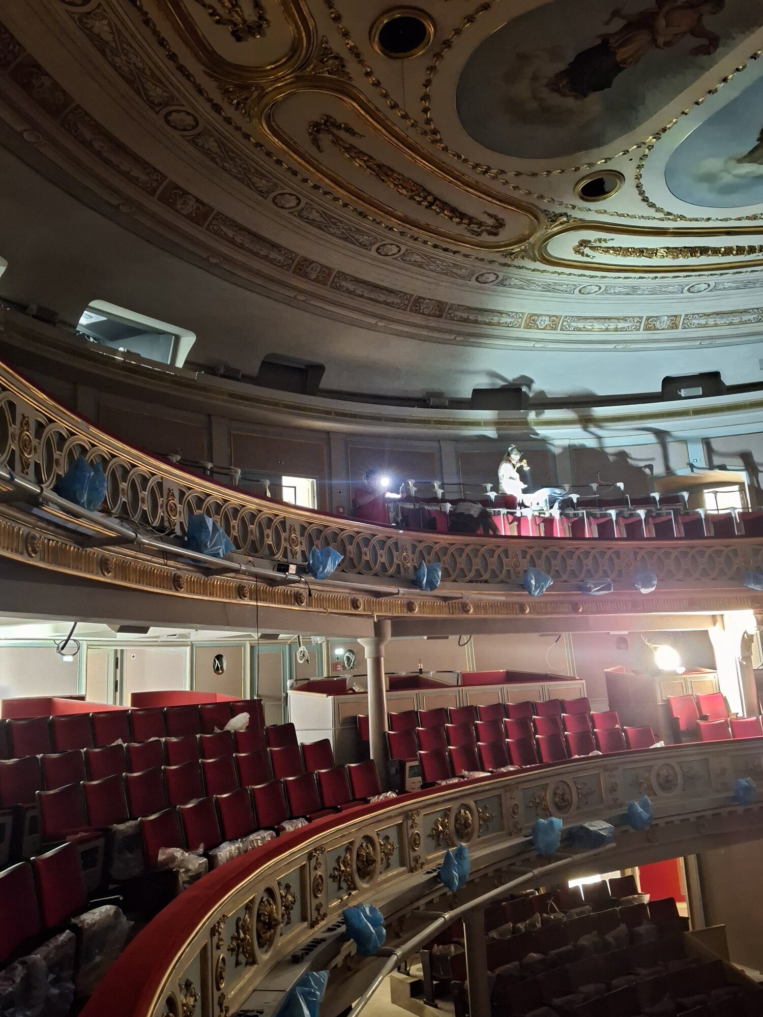 Bild 7 von Simba Facility Management e.U