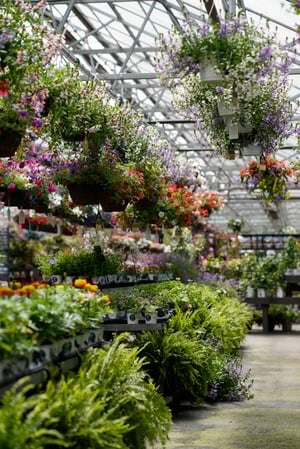 Images Mahoney's Garden Center