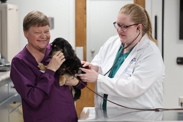 Images VCA Marshalltown Animal Hospital - CLOSED