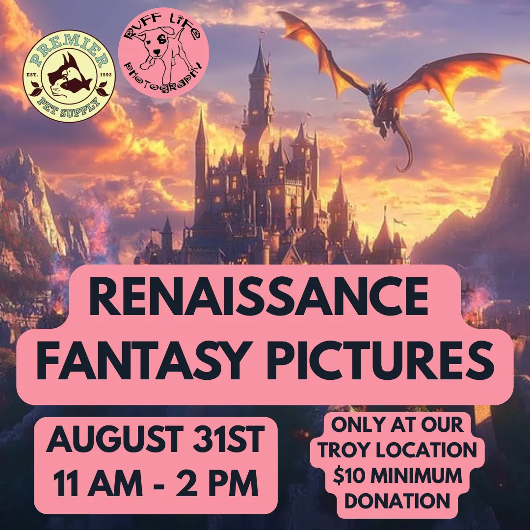 Image of Local Pet Event RENAISSANCE FANTASY PET PHOTOS W/ RUFF LIFE PHOTO | TROY Nearby