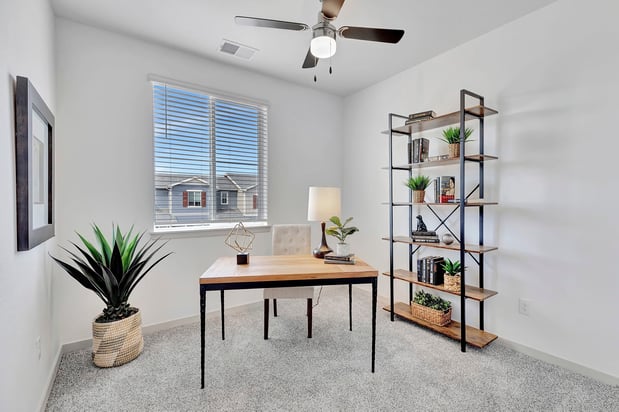 Images Arrive Longmont