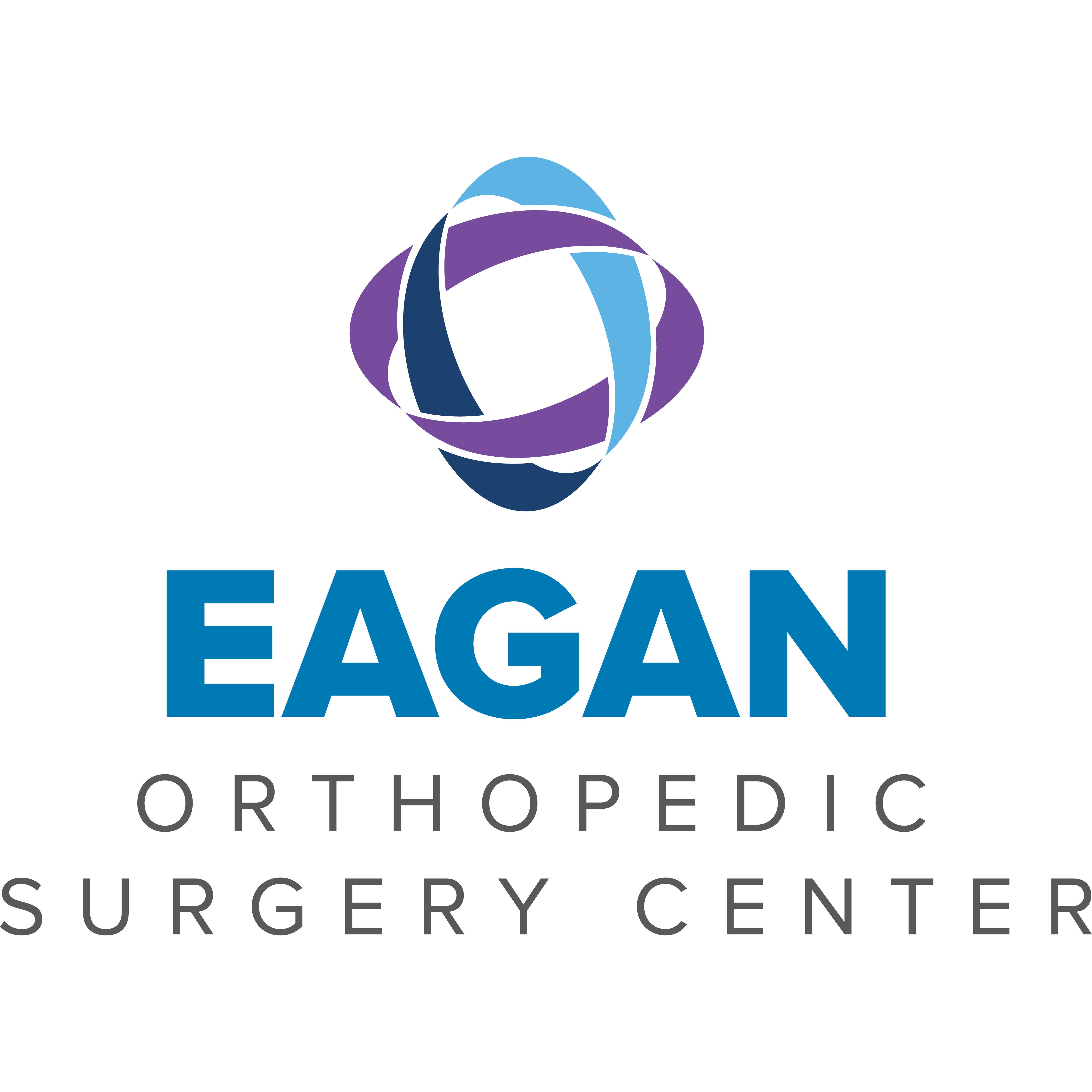Eagan Orthopedic Surgery Center