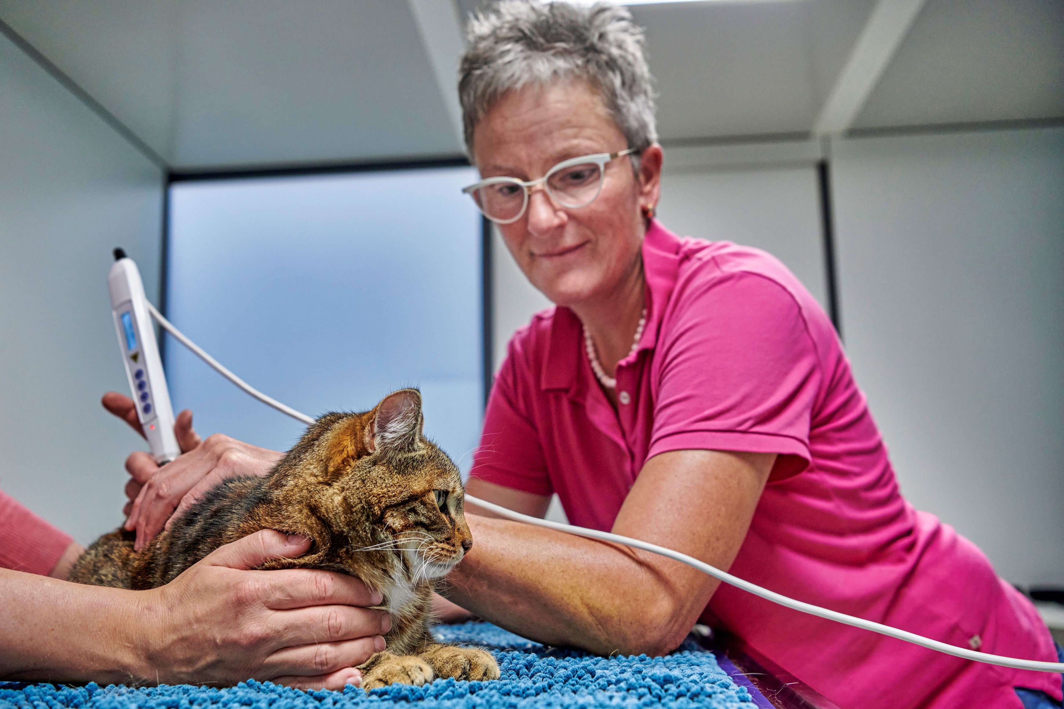 Bilder kompleTIER AG