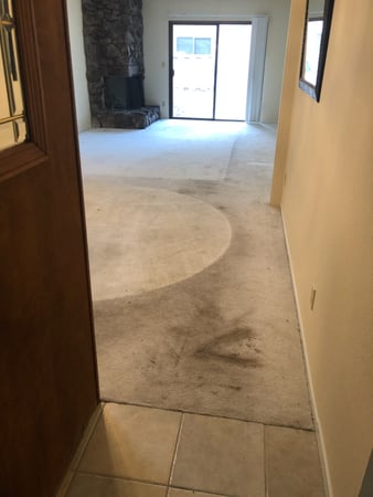 Images Carpet Pro Carpet Cleaning & Dyeing