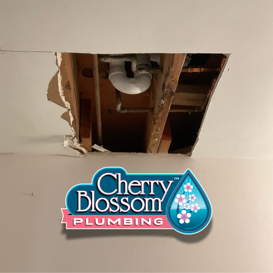 Cherry Blossom Plumbing Image