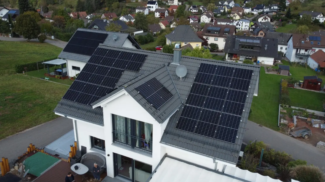 Bilder Aligator Photovoltaik