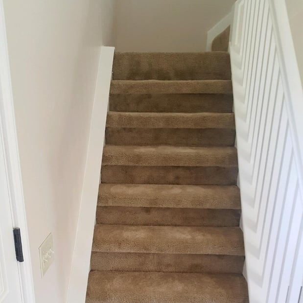 Images Eternity Carpet & Flooring Inc.