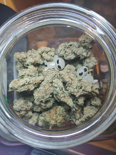 Mountain High Express Image