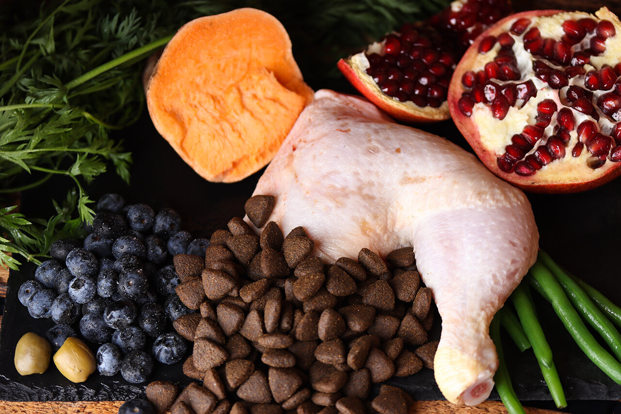 Bilder Green Pet Shop