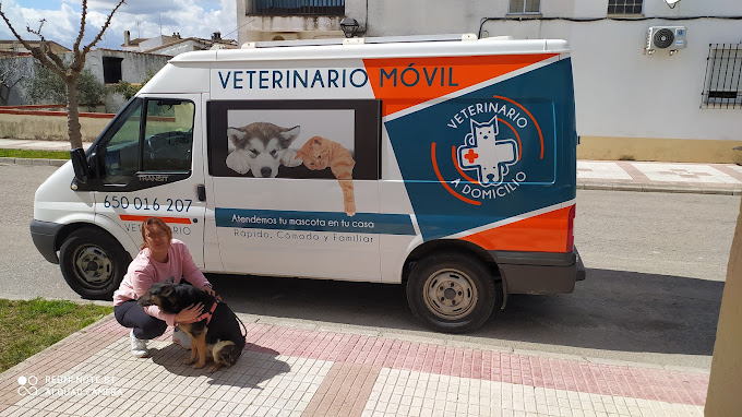 Images Veterinario A Domicilio