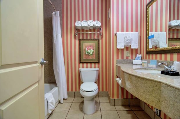 Images Hampton Inn & Suites Dallas-DFW ARPT W-SH 183 Hurst