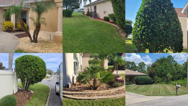 Images TopNotch Landscaping Services LLC