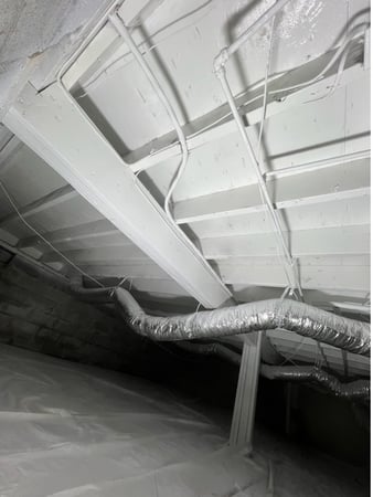 Images Quality Mold Remediation LLC