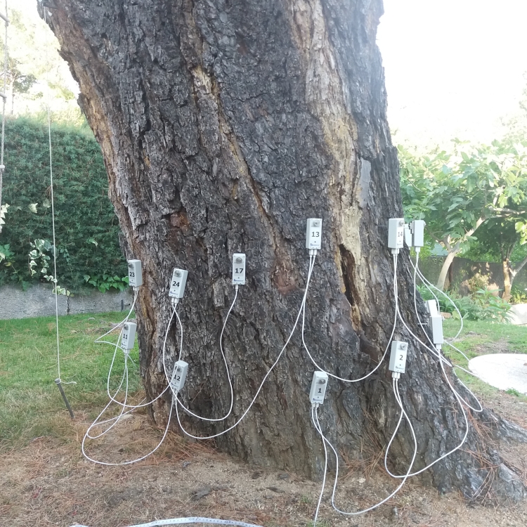 Images Sdl Investigacion Y Divulgacion Del Medio Ambiente S.L.