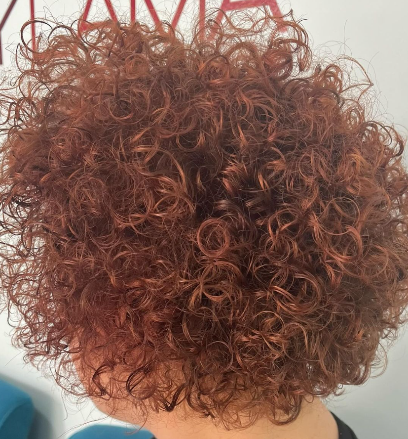 Images Saray Lama Estilistas