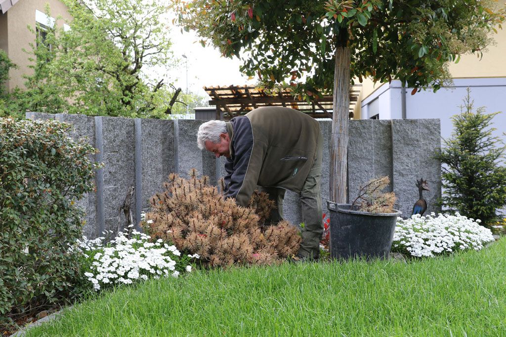 Gartenbau Steinmann, Büelweg 1 in Rüfenach AG