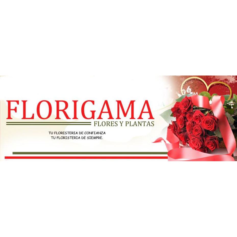 Florigama Cuenca