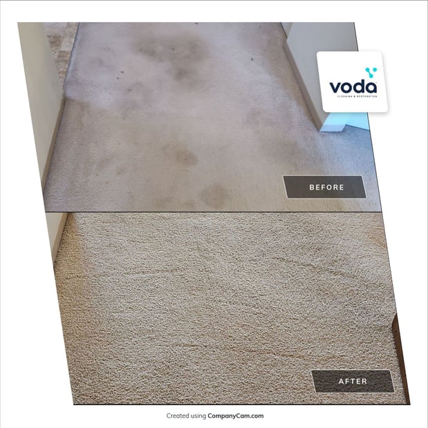 Images Voda Cleaning & Restoration