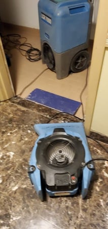 Images EZ Mitigation