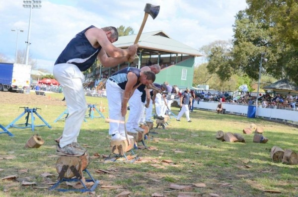 Images Singleton Showground