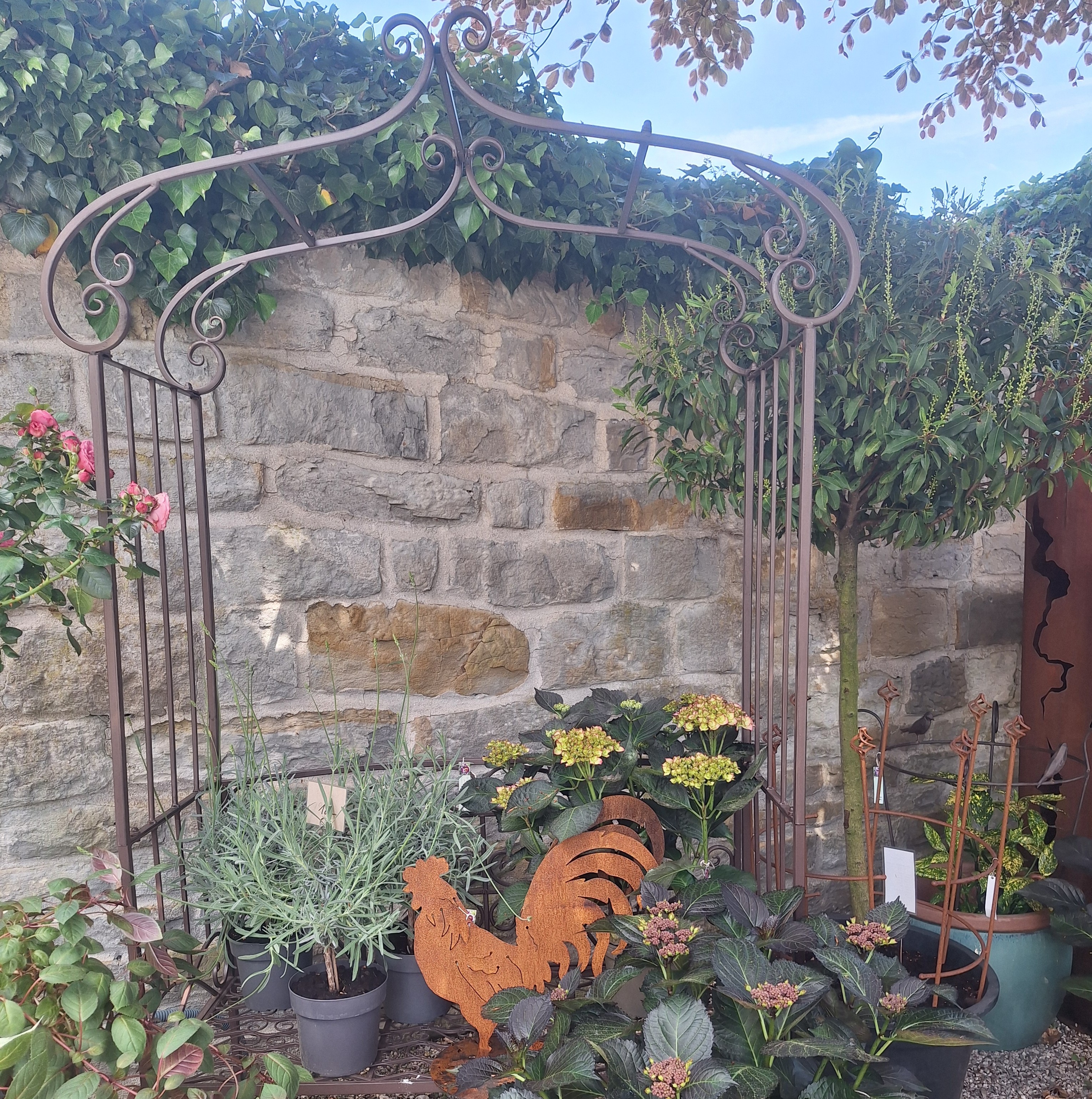 Bild 39 von Grün-Zone