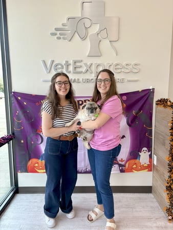 Images VetExpress Animal Urgent Care