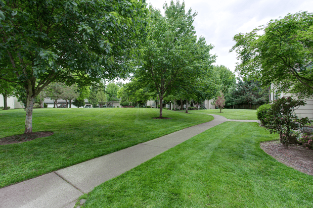 Images Commons at Dawson Creek Apartments