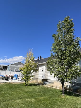 Images Ascent Solar & Roofing