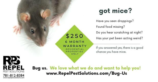 Images REPEL Pest Solutions