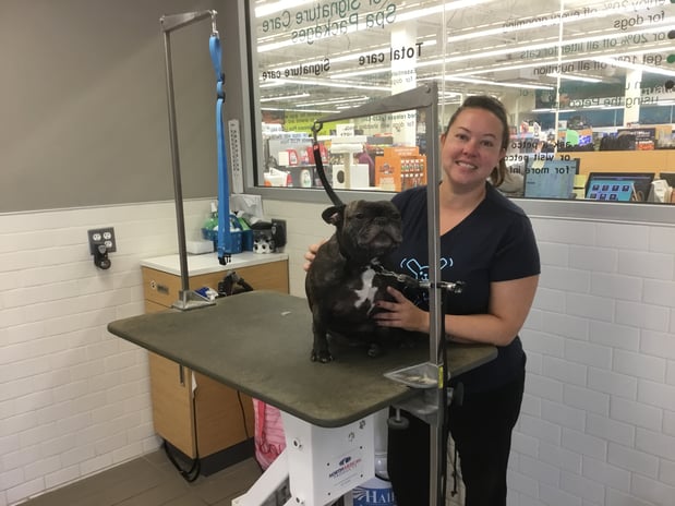 Images Petco