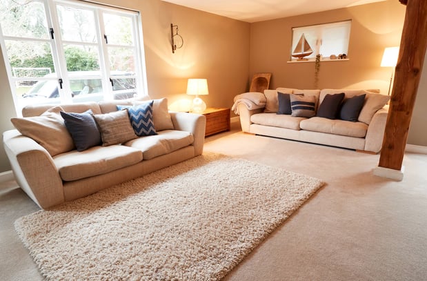 Images Carine Chem-Dry