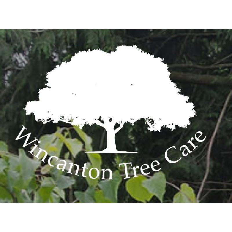 Wincanton Tree Care Logo