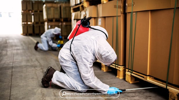 Images Pest Control Fort Worth