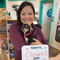 Found Animals Adopt & Shop - Culver City Photo