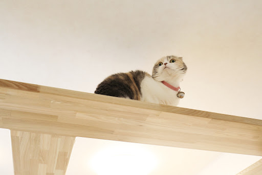 Images ケアホームPooch