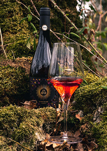 Images Divinalux Winery Estate
