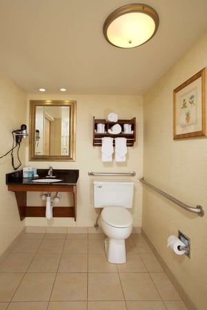 Images Hampton Inn Alexandria/Pentagon South