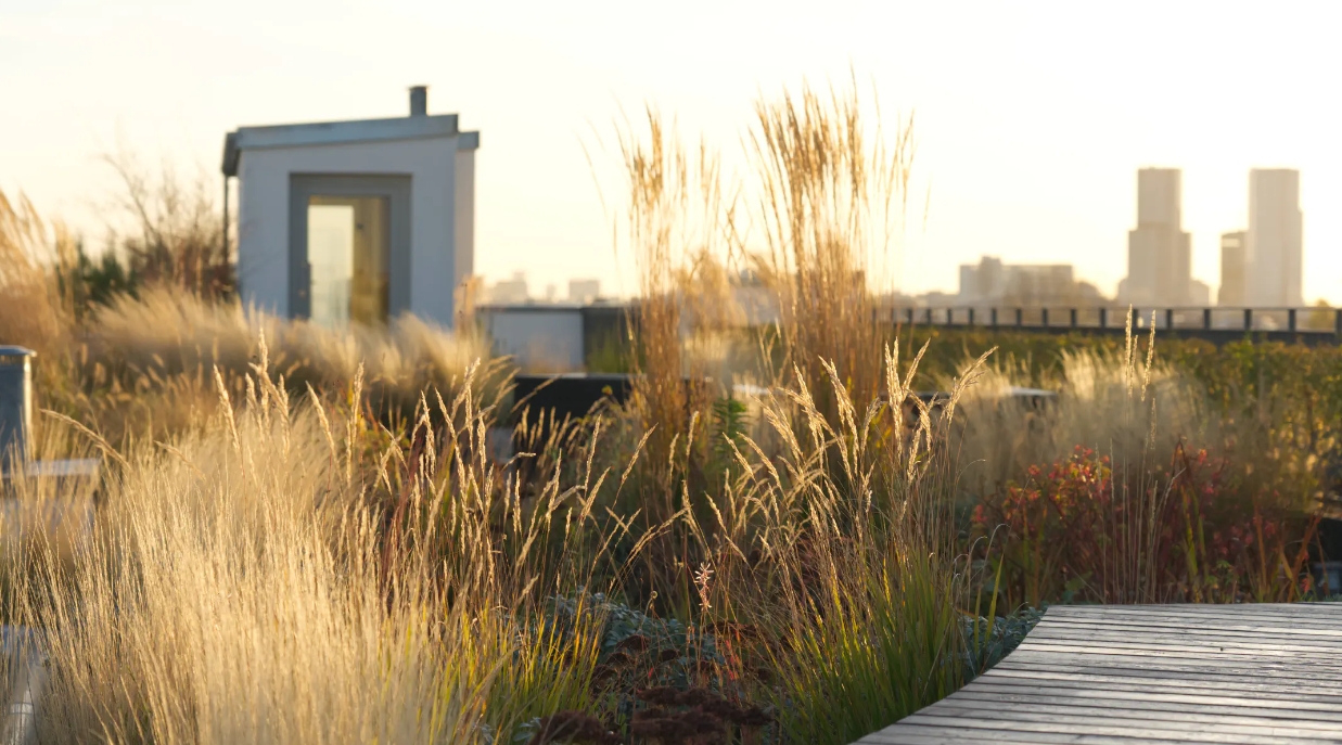 Die Hofgärtner GmbH, Kaiserin-Augusta-Allee 34a in Berlin