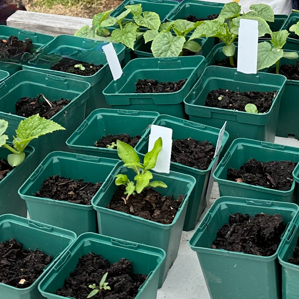 Gartenkonzept Lerner GmbH, Akazienweg 2 in Rheinbach