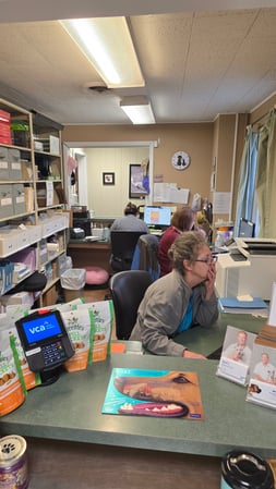 Images Closter Animal Hospital