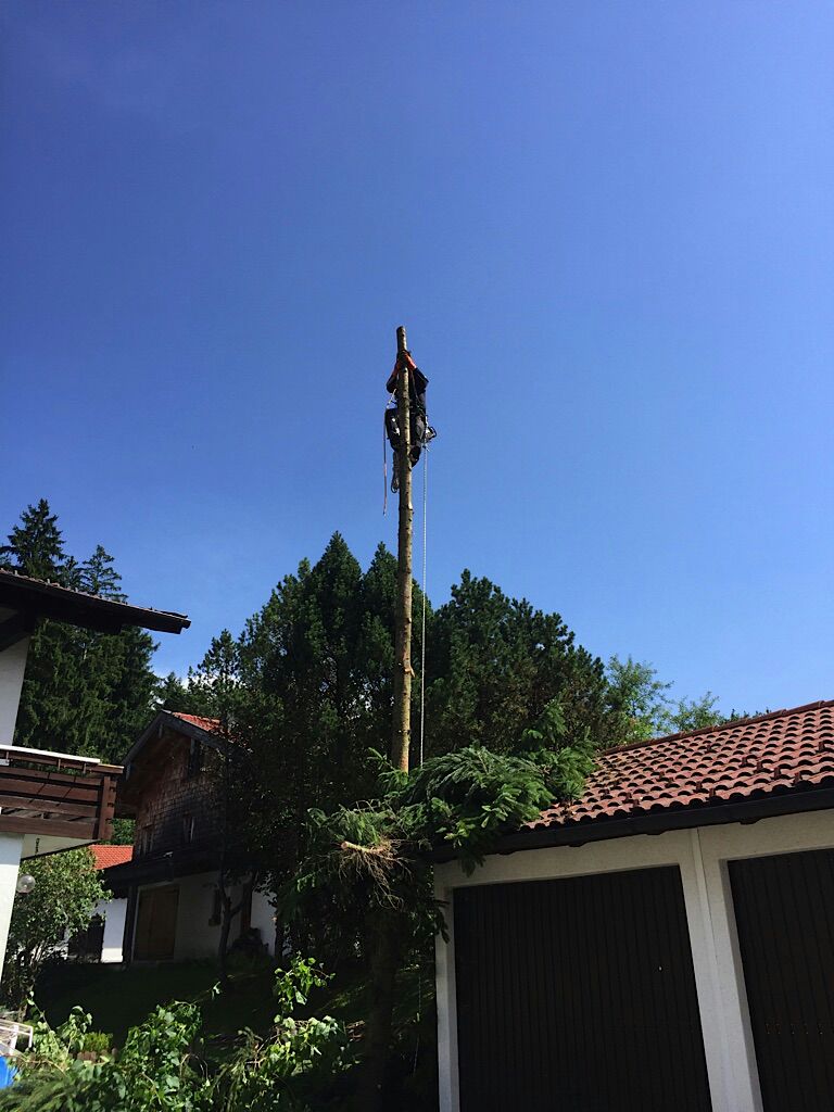 Baumpflege + Gartenservice im Chiemgau +361Grad, Hölzlweg 8 in Bergen