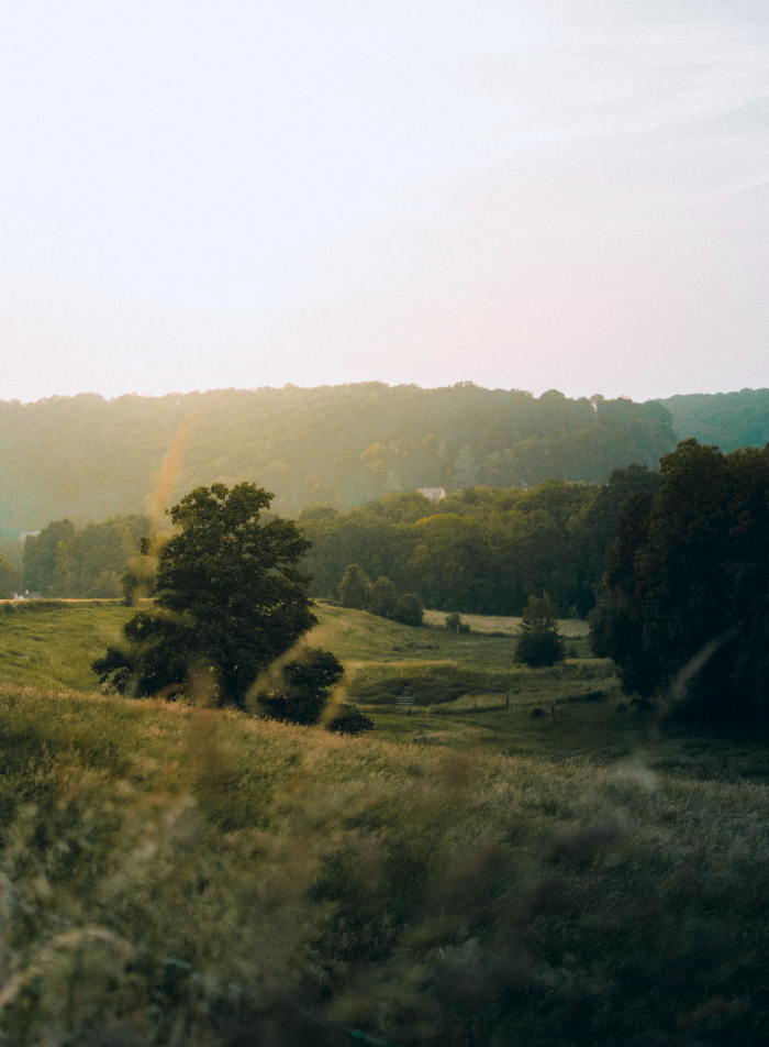 A beautiful plot of land with trees and an escarpment.