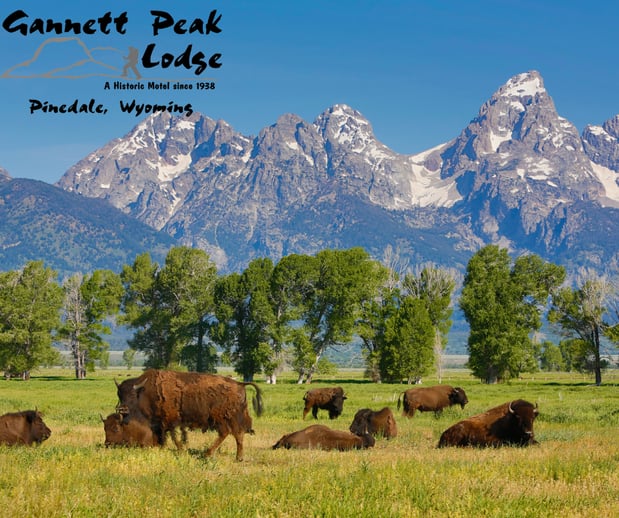 Images Gannett Peak Lodge