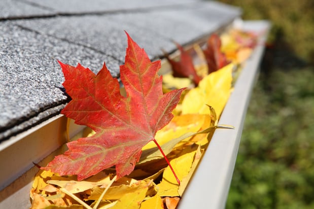 Images Precise Roofing and Restoration