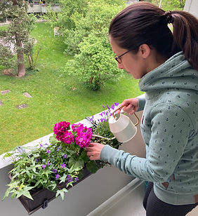 Emilia Mihalydeakpal DaMa Pflanzendesign, Felsplattenstrasse 24 in Basel