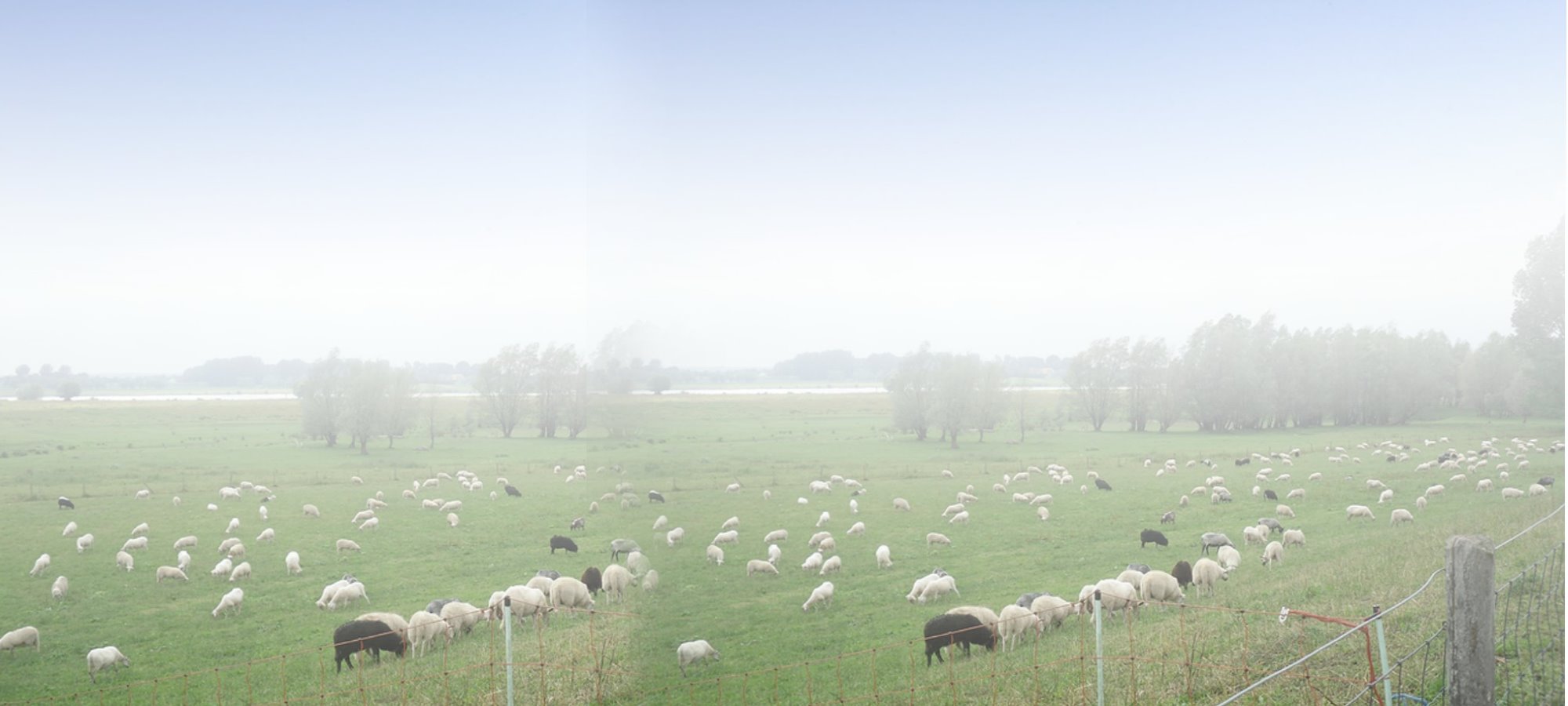 Bild 1 Ferienwohnung Hollandshof in Wesel