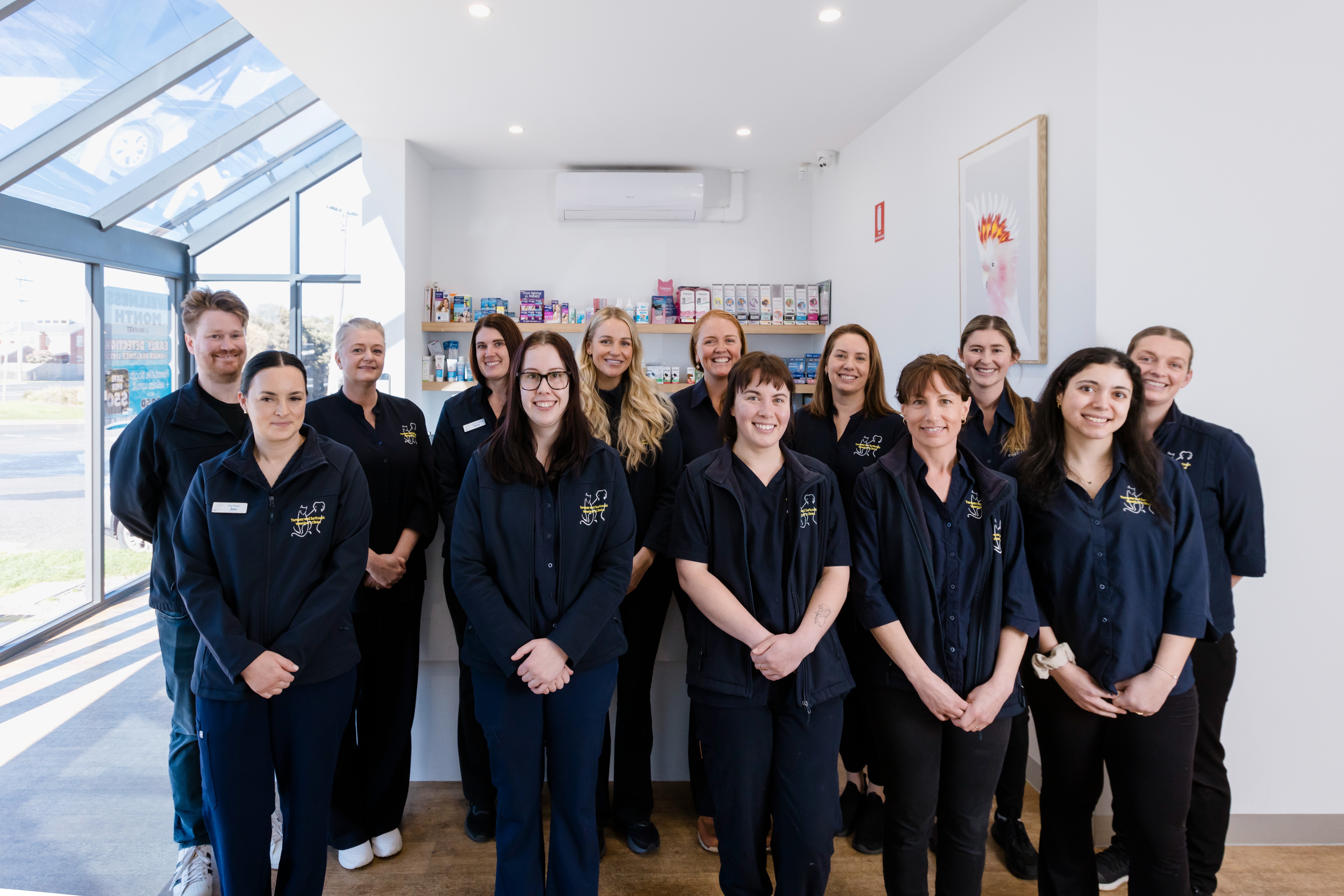 Images Torquay and Surfcoast Veterinary Clinics