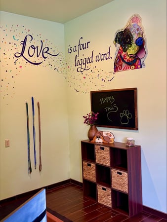 Images Mono Way Veterinary Hospital