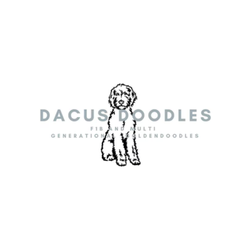 Dacus Doodles Logo