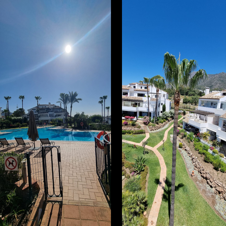 Images Pruning Palms And Garden Service Poda De Palmeras Y Jardinería En Málaga